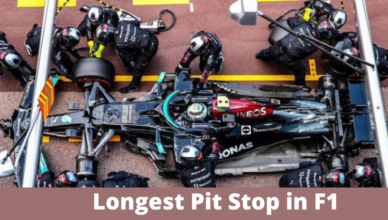 longest pit stop in formula one