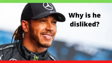 why is lewis hamilton generally disliked