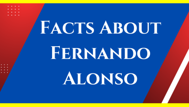 facts about fernando alonso