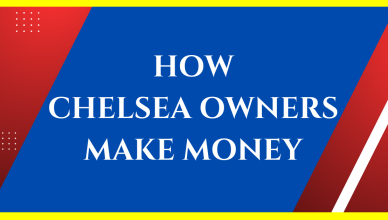 how did chelsea owner make his money