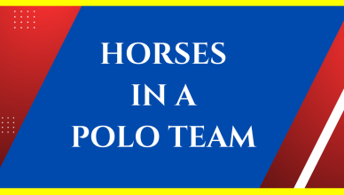 how many horses are in a polo team