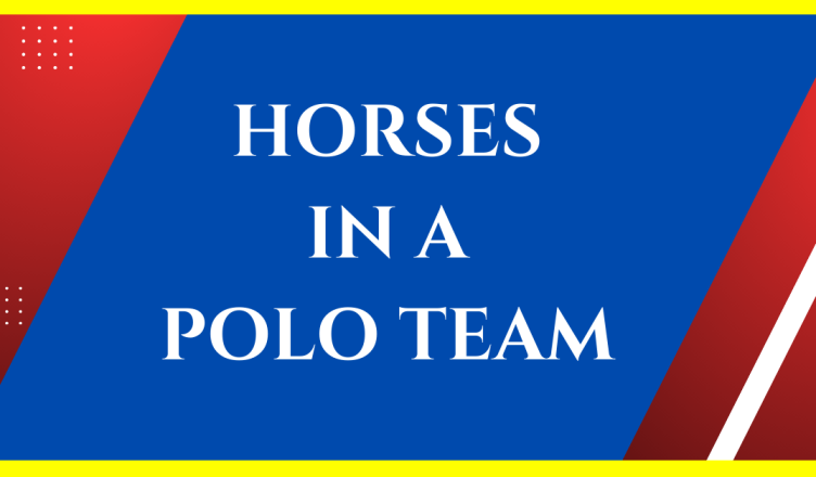 how many horses are in a polo team