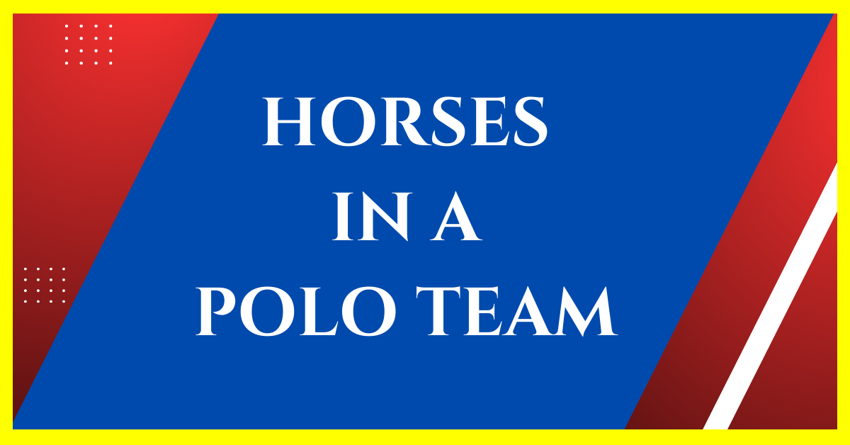 How Many Horses Are in a Polo Team