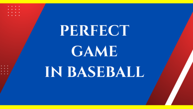 what is a perfect game in baseball