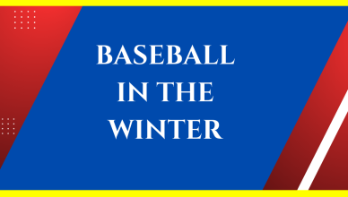 where to play baseball in the winter